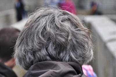The back of an older person's grey head in a crowd