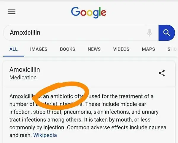 Google search for "amoxicillin" antibiotic