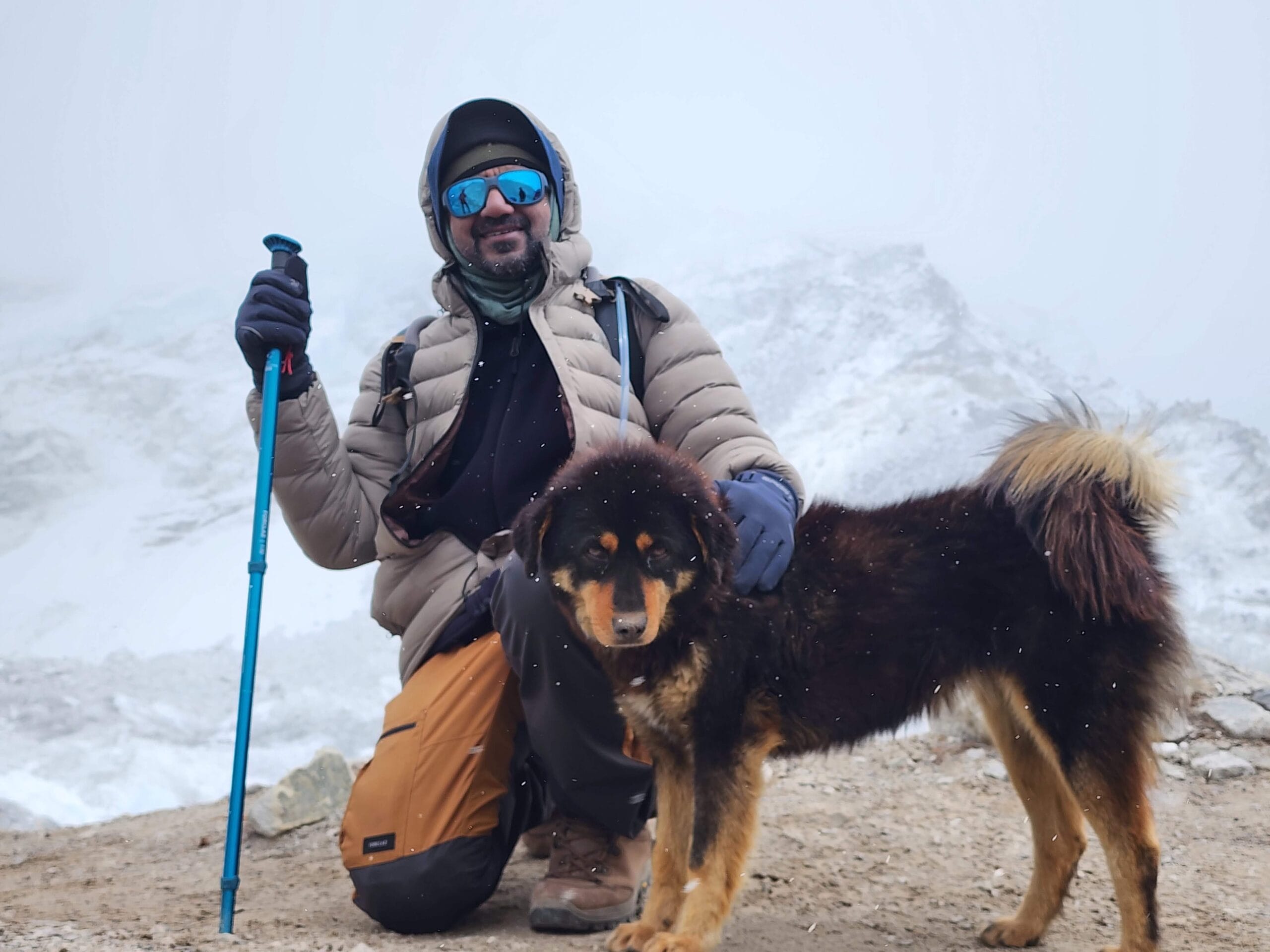 Himalayan mountain dog walking with trekkers near Khumbu Glacier during Everest Base Camp trek
