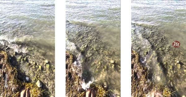 The lake washing over the author's feet during the chants of parts of Sri Rudram.