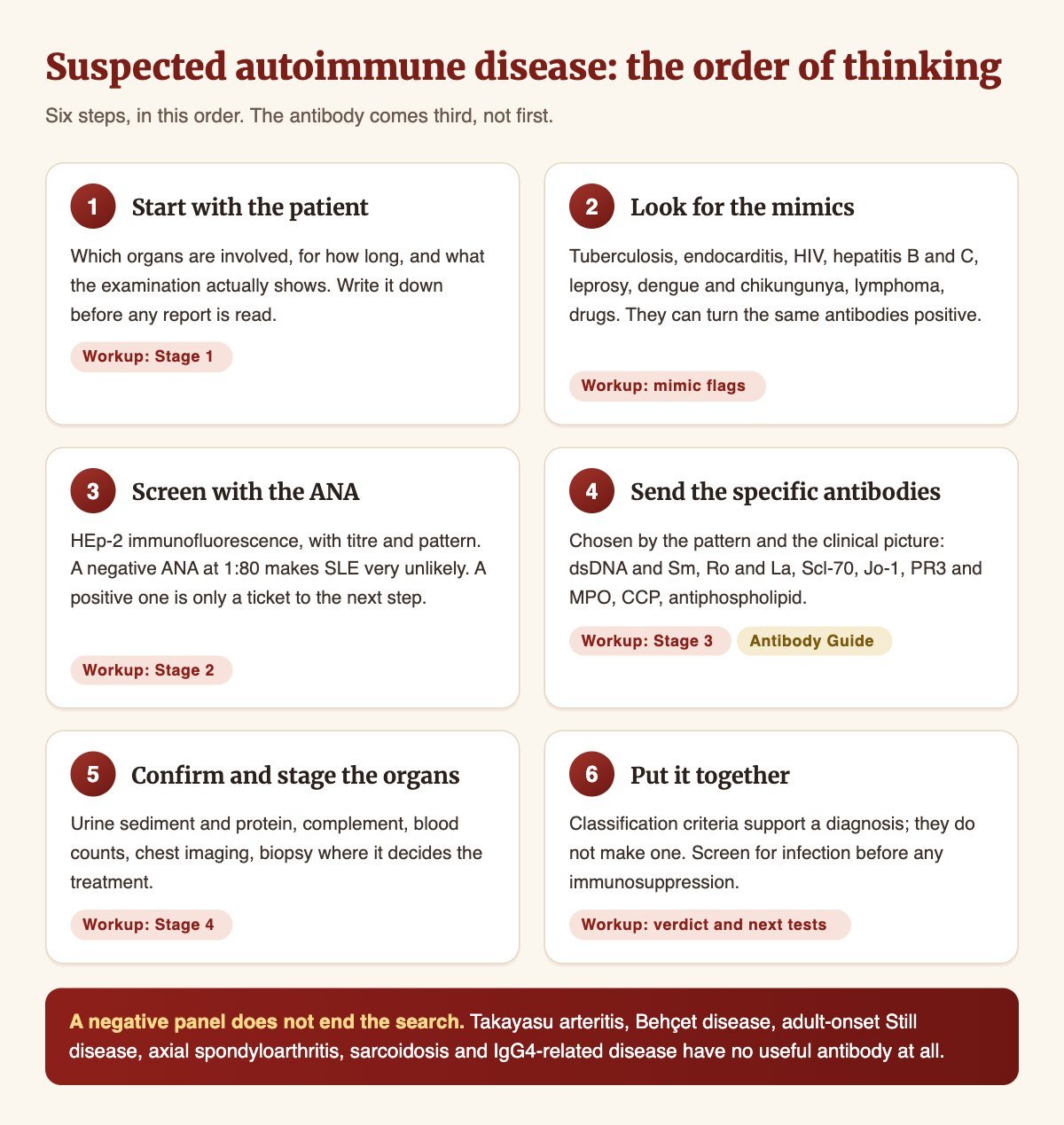 A six-step diagram for suspected autoimmune disease: start with the patient, look for the mimics, screen with the ANA, send the specific antibodies, confirm and stage the organs, then put it together