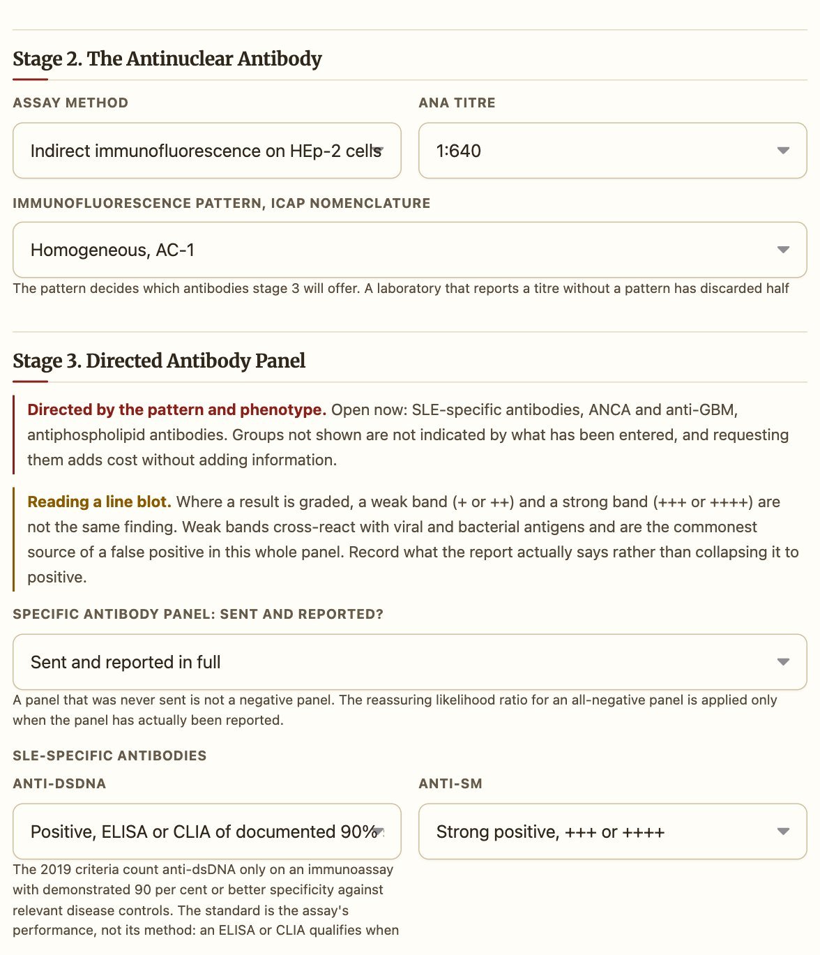 Stage 2 and Stage 3 of the workup filled in for the lupus case: ANA by immunofluorescence at 1:640 with a homogeneous pattern, and the directed antibody panel