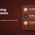 Diagnosing autoimmune disease: from the patient to the ANA to the specific antibody, a MEDiscuss practice guide