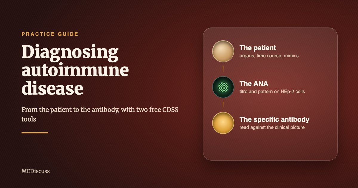 Diagnosing autoimmune disease: from the patient to the ANA to the specific antibody, a MEDiscuss practice guide
